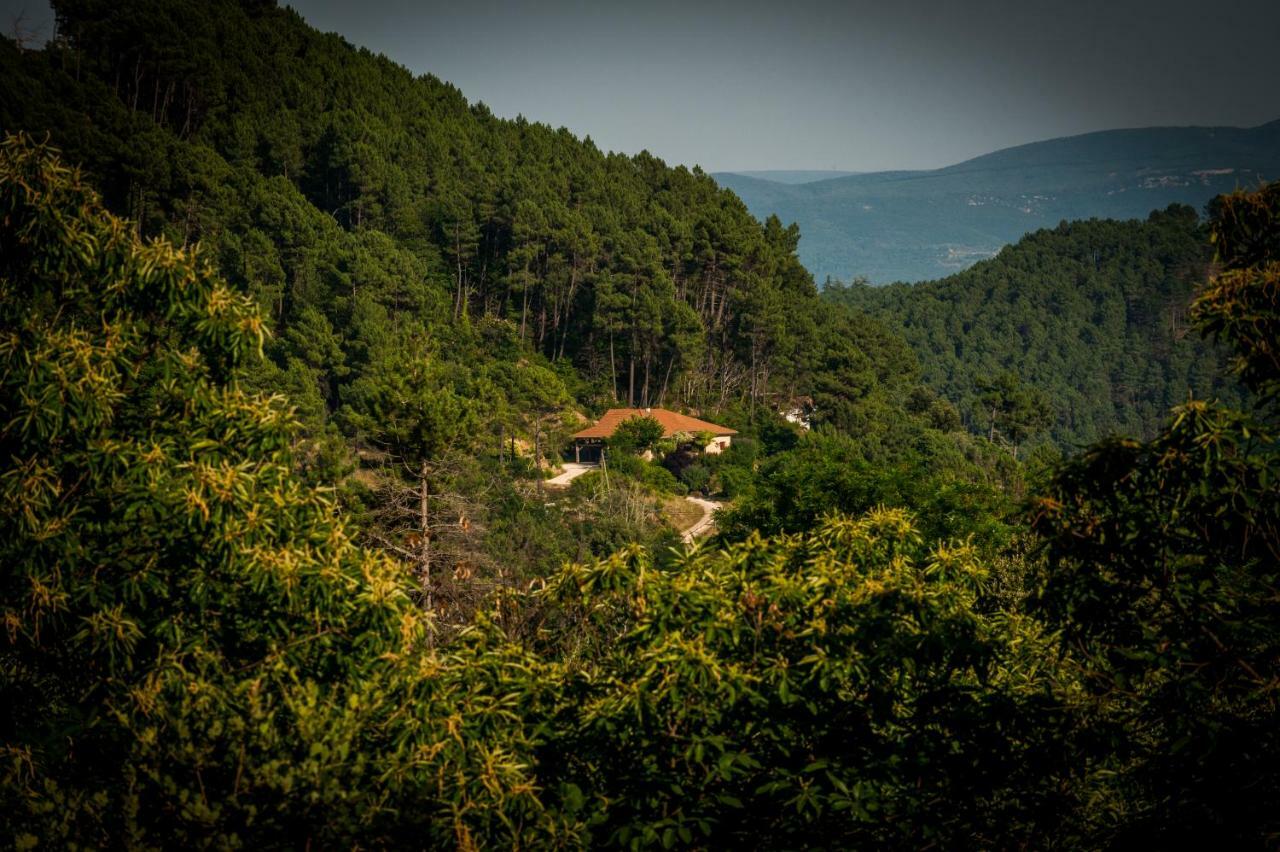 Le Nid Des Anges Βίλα Saint-André-Lachamp Εξωτερικό φωτογραφία